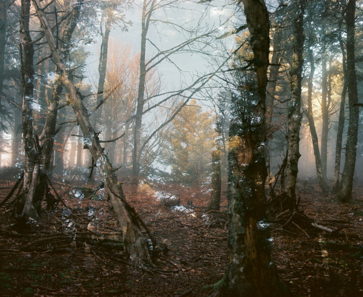 Photography titled "ABSTRACTION DES COL…" by Martin Ecker, Original Artwork, Analog photography