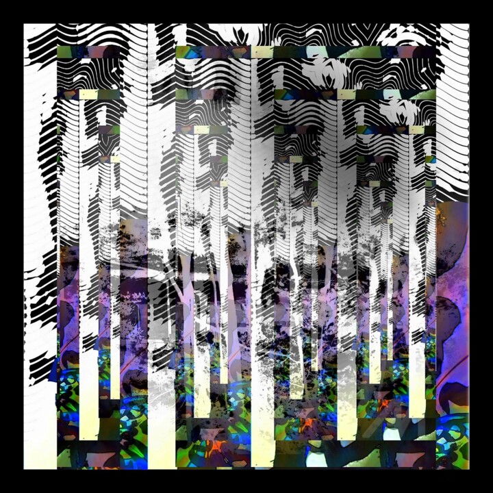 摄影 
