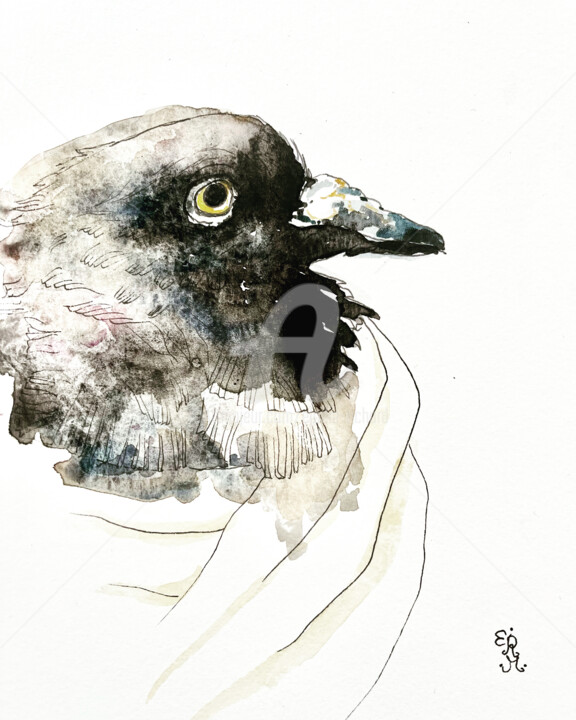 绘画,  10x7 in 