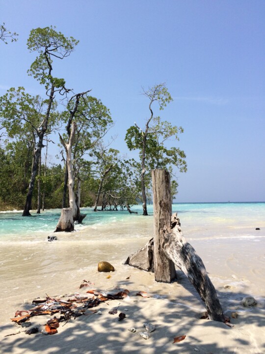 Fotografie getiteld "Экскалибур" door Uliana Khalanskaia, Origineel Kunstwerk, Digitale fotografie