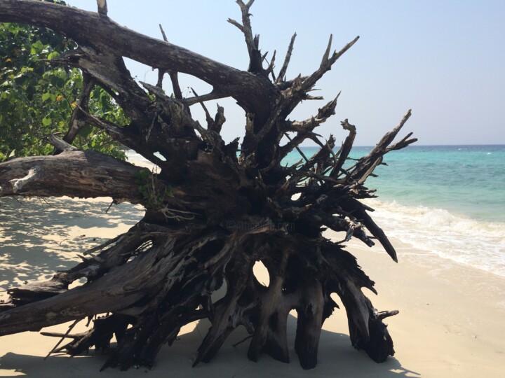 Fotografie getiteld "Черная звезда" door Uliana Khalanskaia, Origineel Kunstwerk, Digitale fotografie