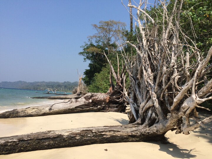 Fotografie getiteld "Трон. Игры престолов" door Uliana Khalanskaia, Origineel Kunstwerk, Digitale fotografie