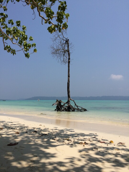 Fotografie getiteld "Ведьма." door Uliana Khalanskaia, Origineel Kunstwerk, Digitale fotografie