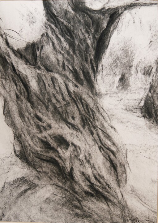 Peinture intitulée "Elaiodendro" par Isabelle Vialle, Œuvre d'art originale, Fusain