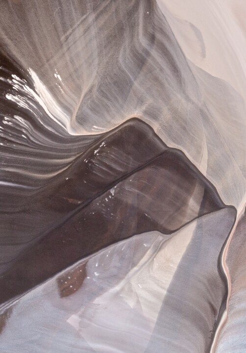 Schilderij getiteld "Windswept" door David Ryan Lopez, Origineel Kunstwerk, Acryl