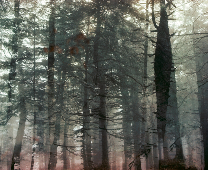 Photography titled "Abstraction des Col…" by Martin Ecker, Original Artwork, Analog photography