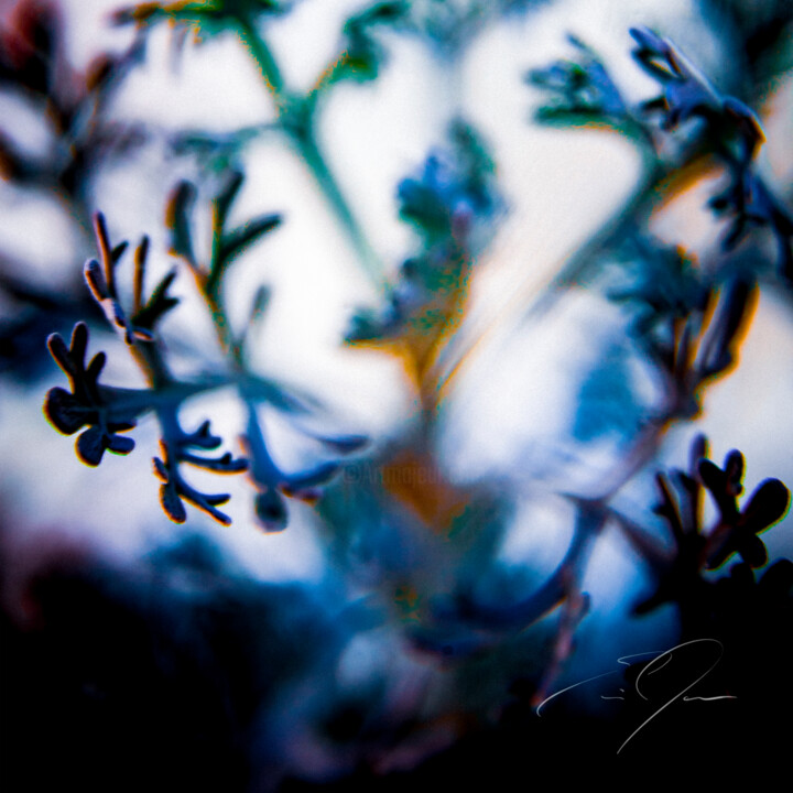Photography titled "Sentience" by Eric C. Jackson, Original Artwork, Digital Photography