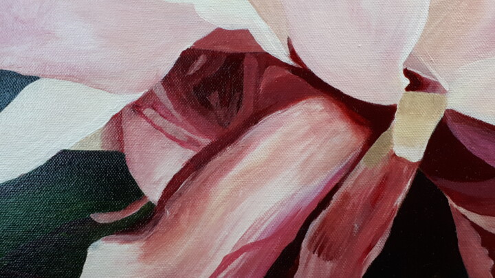 Additional views 2