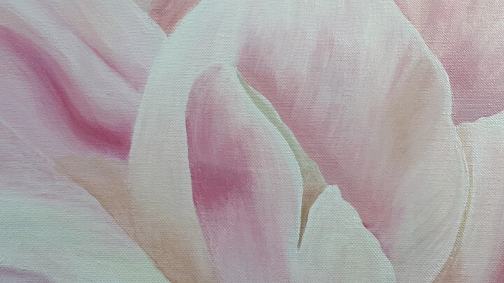 Additional views 4