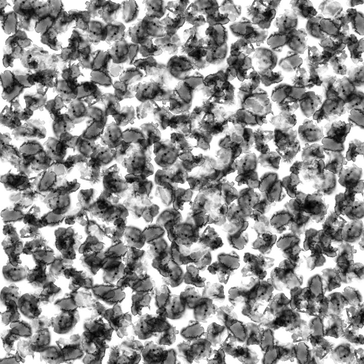 Black & White - Print 数字艺术, 31.5x31.5 in