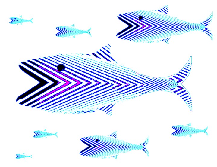 Fish 21b6 摄影, 18.5x24 in