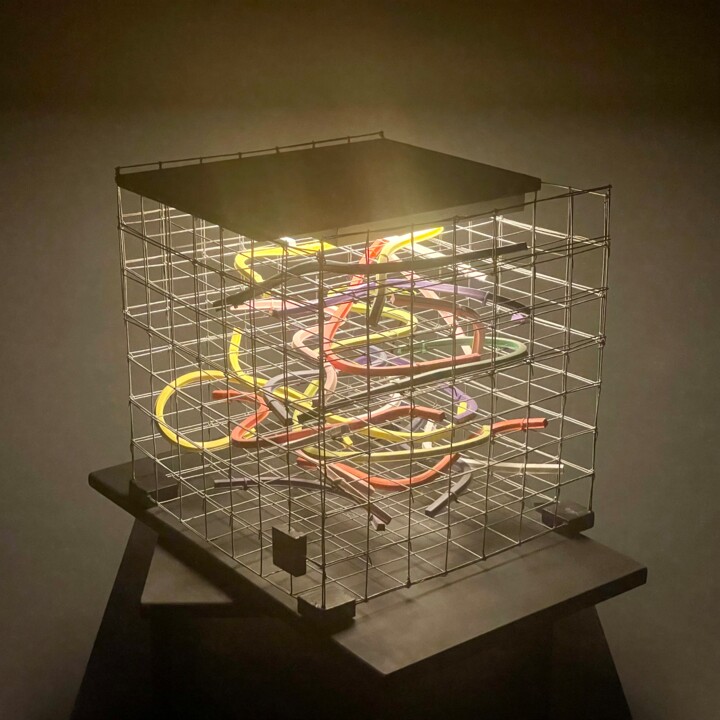 Skulptur mit dem Titel "VIVARIUM" von Philippe Fares, Original-Kunstwerk, Edelstahl