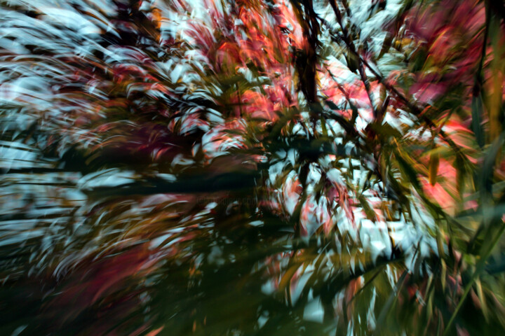 Fotografía titulada "Initiation" por François Tondeur, Obra de arte original, Pintura de luz