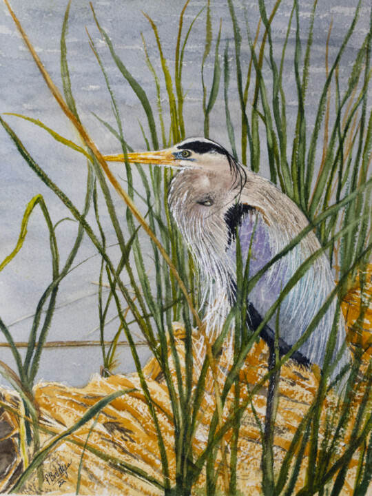 Great Blue Heron in Blue Pond in Watercolor 9x12 绘画, 12x9 in