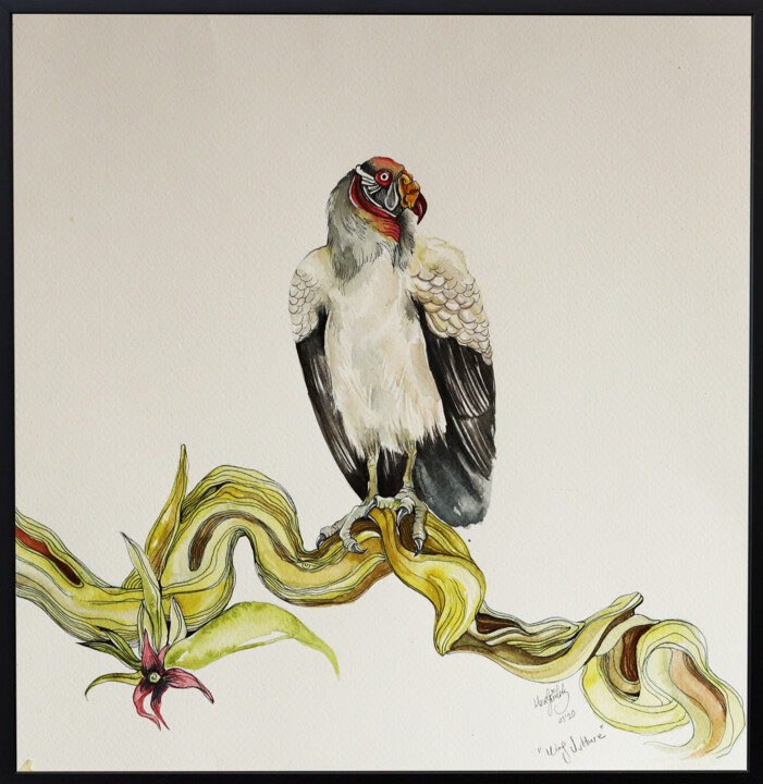 king vulture 绘画, 15.8x15.8 in