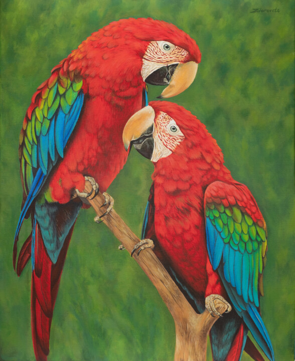 Parrots, 絵画 Olha Zdorovetsによって | ArtMajeur