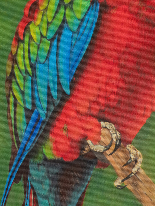 Parrots, 絵画 Olha Zdorovetsによって | ArtMajeur