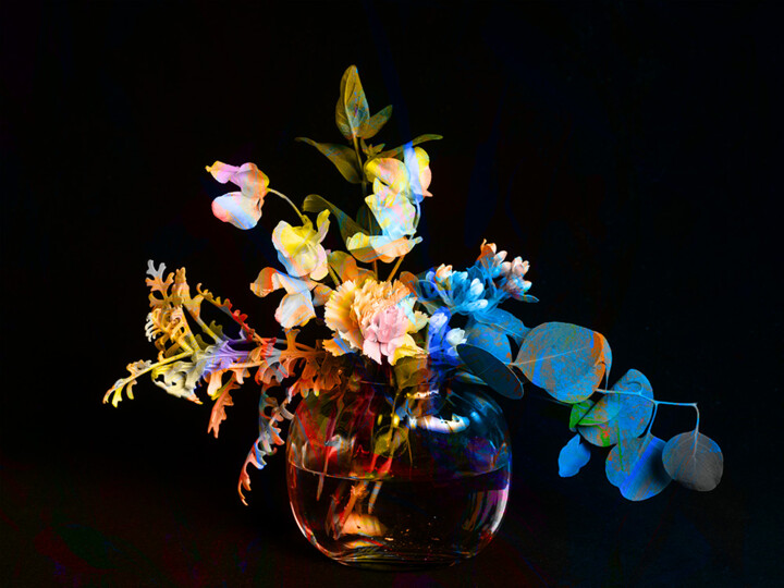 hana26_6919-111 摄影, 11.4x15.4 in