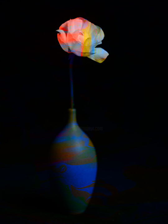 hana51_9504-1 摄影, 15.4x11.4 in