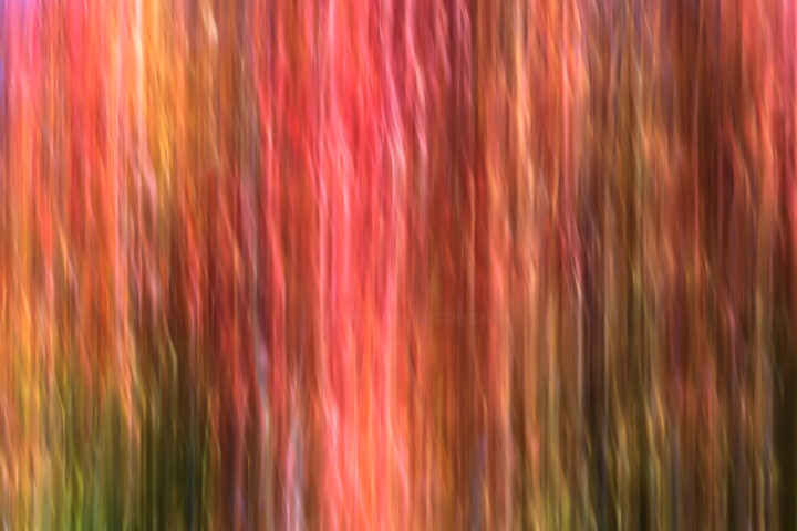 Fotografía titulada "Magnificat" por François Tondeur, Obra de arte original, Pintura de luz