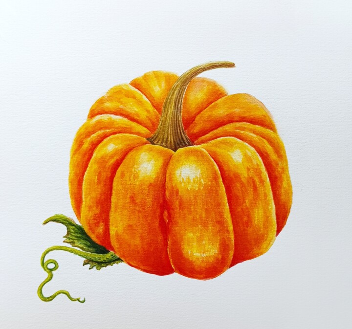 Orange pumpkin 绘画, 11x11 in