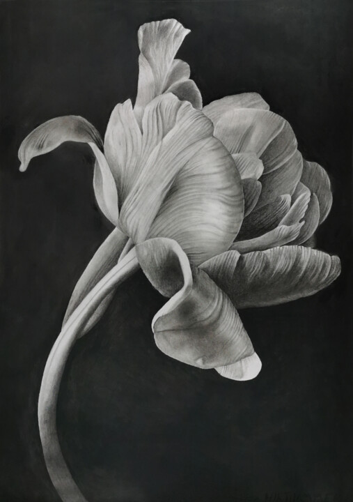 Dessin,  26,8x18,9 in 