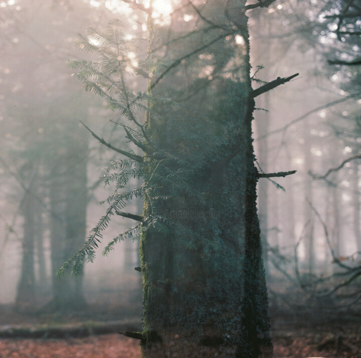 Photography titled "ABSTRACTION DES COL…" by Martin Ecker, Original Artwork, Analog photography