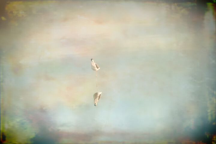 摄影 标题为“Between Heaven and…” 由Catherine Lefrancq, 原创艺术品, 数码摄影 安装在铝上