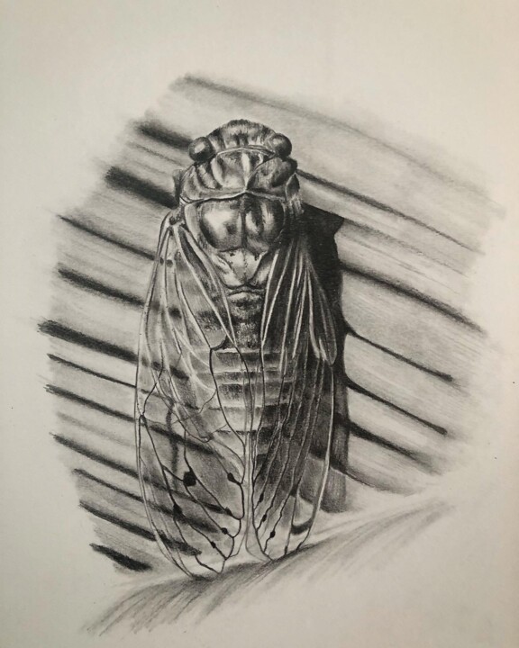 Drawing titled "Provence 2" by Christelle Rossi Ligouzat (Chris Rossi), Original Artwork, Pencil