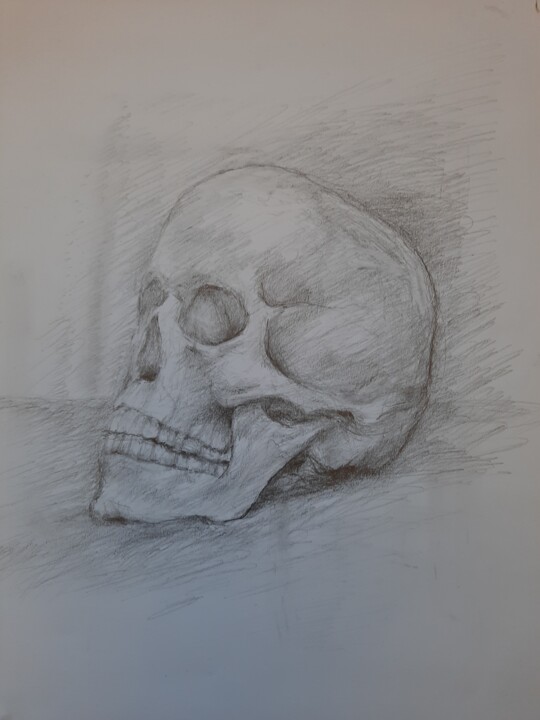 图画,  16.5x11.4 in 