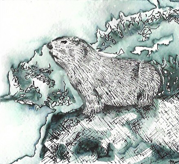 Dibujo titulada "Animal de poder" por Aura Cruz, Obra de arte original, Tinta
