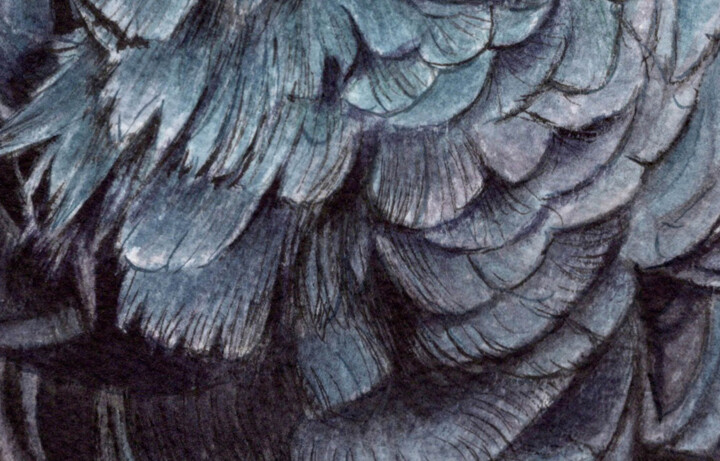 Details
