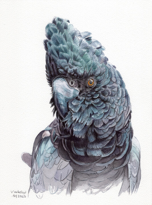 Drawing titled "Kakadu" by Lilla Varhelyi, Original Artwork, Ink