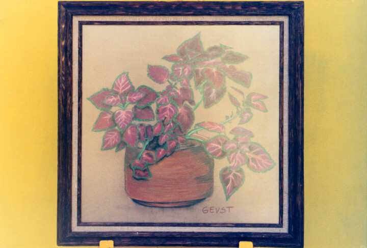 Drawing titled "maceta1996" by Gabriela Espinoza Vázquez -Gevst, Original Artwork, Pastel