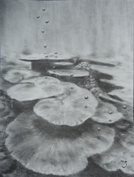 제목이 "Bulles de corail"인 그림 Nathalie Setea로, 원작, 숯