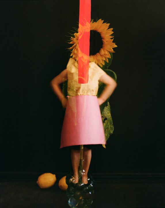 The sunflower fairy 摄影, 19.7x15.8 in