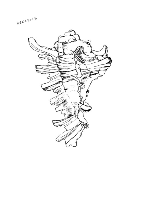09.01.2023 图画, 11.8x7.9 in
