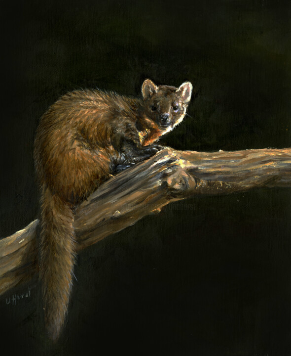 European Pine Marten 绘画, 12x10 in