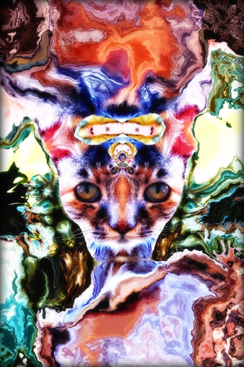 Princess Mina, The War on the Dogs 摄影