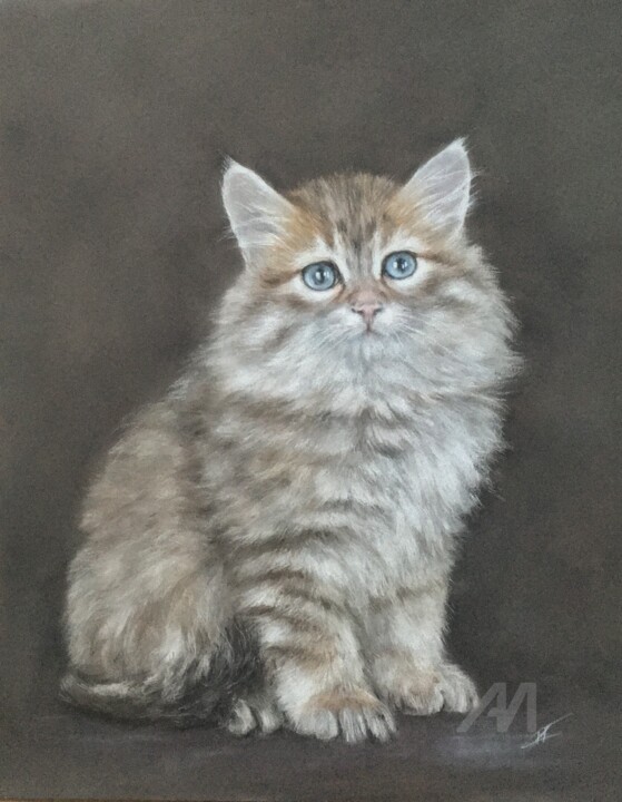 Siberian kitten 图画, 13.8x11 in