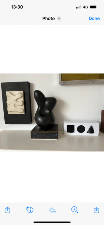 Rzeźba zatytułowany „El Polytopo Mangold” autorstwa Richard Mangold, Oryginalna praca, modelowanie 3d