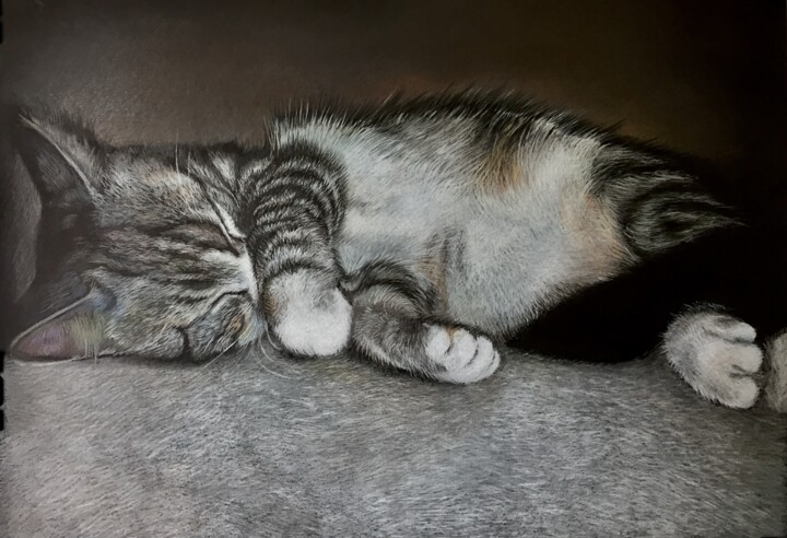 I'm sleeping Resim, 13,8x19,7 in