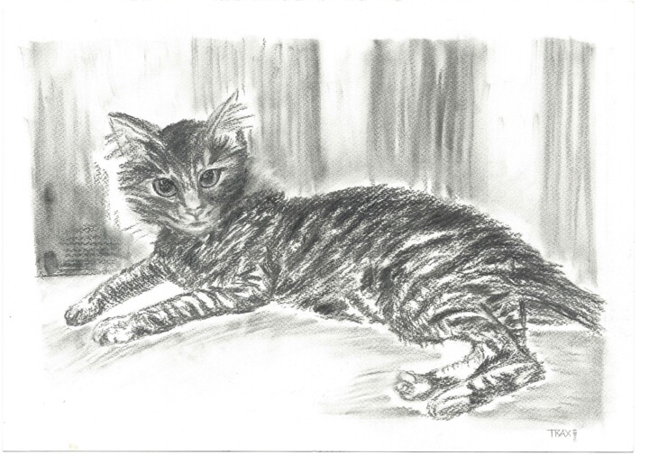 「Elegant Black and W…」というタイトルの描画 Diana Dimova - Traxiによって, オリジナルのアートワーク, 木炭