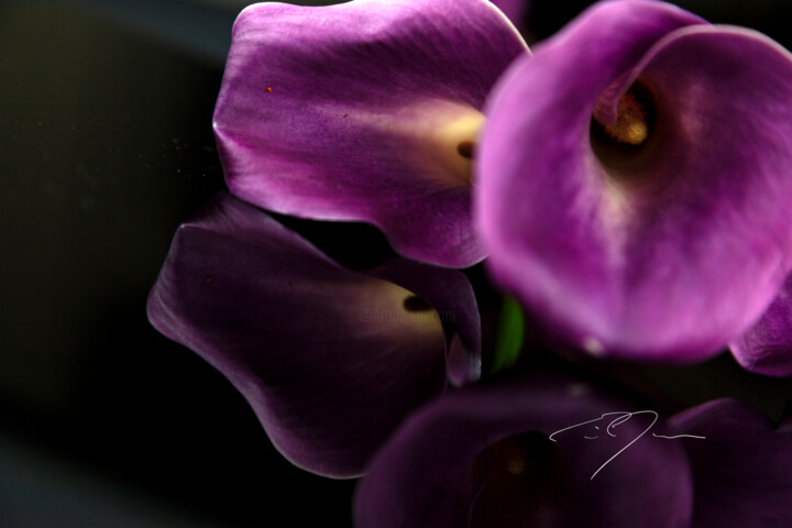 Photography titled "Emulate" by Eric C. Jackson, Original Artwork, Digital Photography