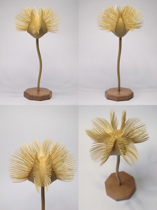 Blastoidea 雕塑, 7.1x3.5 in