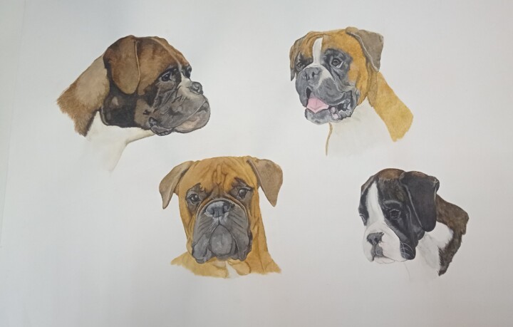 Boxers 2 绘画, 11.7x16.5 in