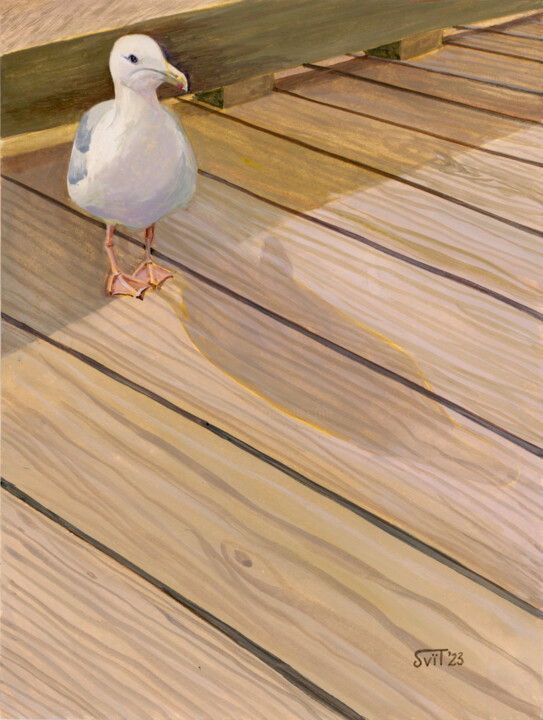 Seagull_3 绘画, 11.8x8.9 in