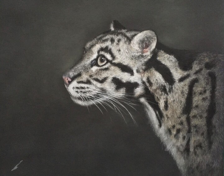 Clouded Leopard 图画, 10.2x12.6 in