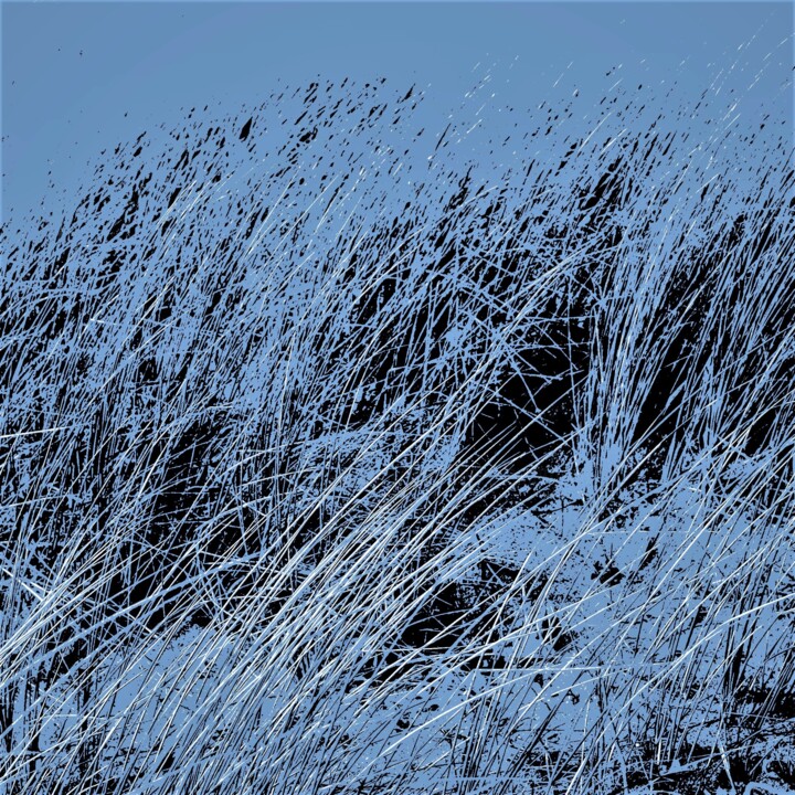 Photography titled "Herbes couchées" by Jean-Marc Ambrosini, Original Artwork, Manipulated Photography Mounted on Aluminium