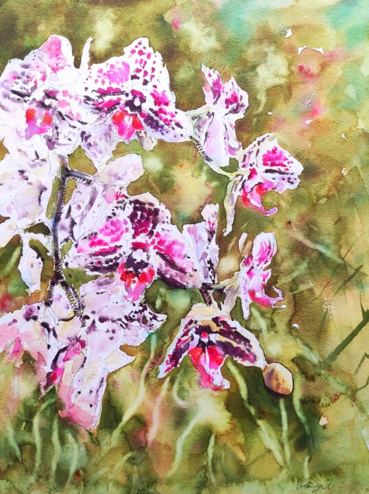 Orchids Cascade 绘画, 16x12 in